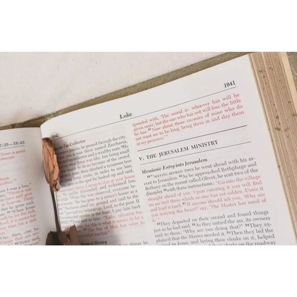 Heirloom Bible with PRESSED ROSE INSIDE! DRIED LONG STEM 1980s VNTG - Picture 8 of 16